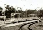 potsdam/6253/reko-zug-am-damaligen-hbf-potsdam-- REKO-Zug am damaligen Hbf Potsdam - in den achtziger Jahren