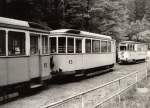 Kirnitzschtalbahn BEIWAGEN/128058/alte-beiwagen-der-kirnitzschtalbahn-vor-1989 Alte Beiwagen der Kirnitzschtalbahn, vor 1989