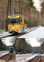 Im Wald beim S-Bahnhof