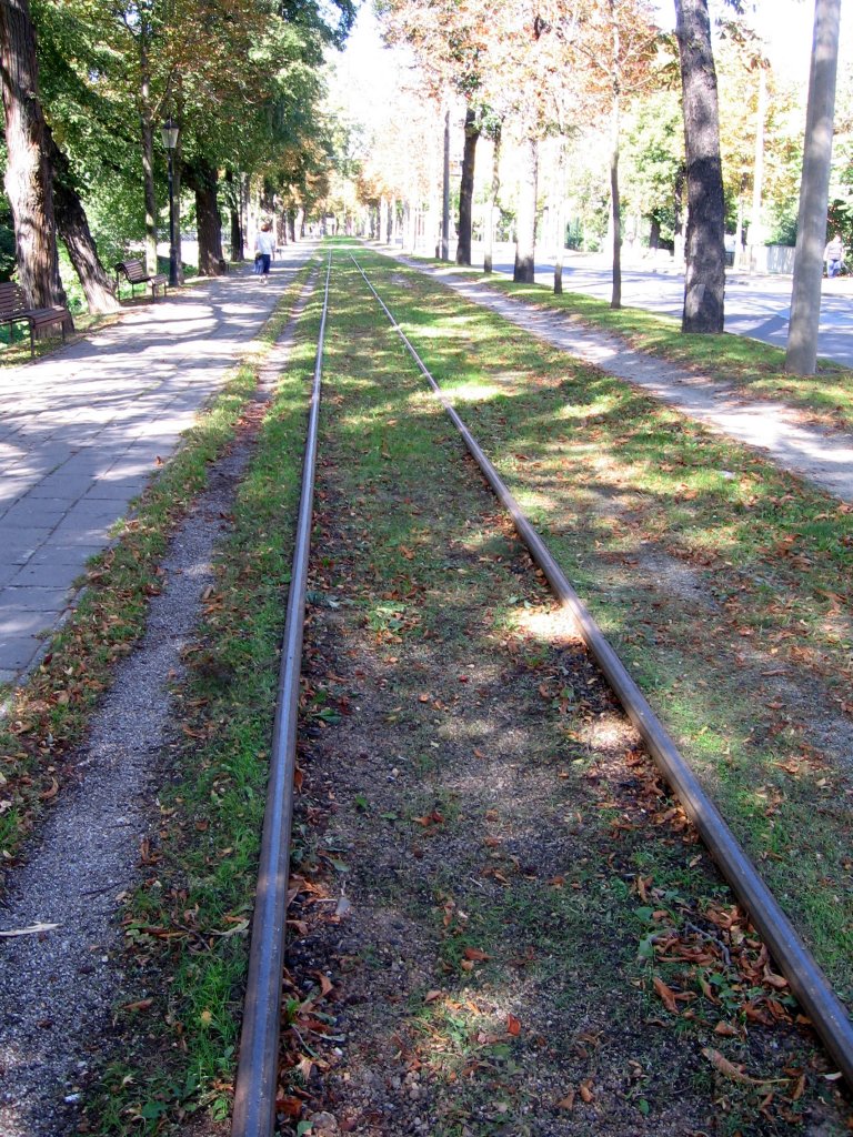 Gleis der ehem Ringbahn im Jahr 2006
